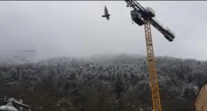Maçon Maçonnerie neuf et rénovation LAFFILS Bâtiment à Foix