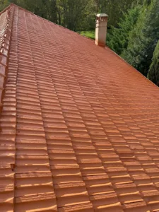 Gourgues toiture à Perpignan