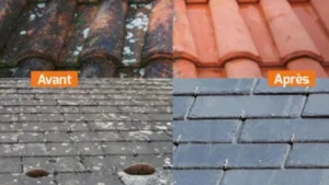 FF Renov Eco | Couvreur : Recherche de fuite, Démoussage, Nettoyage de façade et toiture écologique, Pose de vélux, Ramonage à Noyal-Châtillon-sur-Seiche