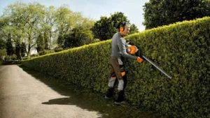 Bruno entretien taille de haie Élagage abattage tonte de pelouse Débroussaillage Entretien et nettoyage de jardin à Rennes