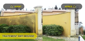 RENOVPROTECT à Auterive