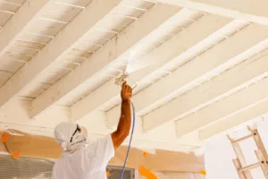 PREMIUM RENOVATION Artisan peintre bordeaux à Bordeaux