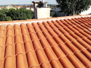 JM PROTECT HABITAT. Rénovation toiture, façade boiseries, couverture, nettoyage, Étanchéité, ravalement hydrofuge anti mousse à Graulhet