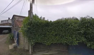 BRIANT FABRICE MULTISERVICES à La Boissière-des-Landes