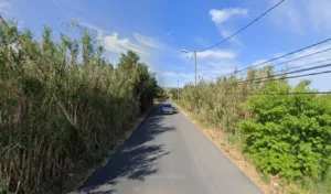 Pruvost Marvin Rénovation 13 à Châteauneuf-les-Martigues