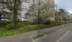 hds constructions à Mulhouse