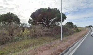Simonnet Olivier à Bourcefranc-le-Chapus