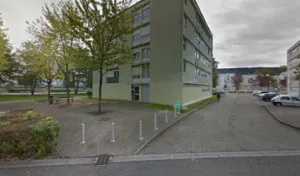 Facadier leo à Oyonnax