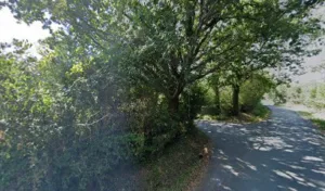 Albistur André à Saint-Pée-sur-Nivelle
