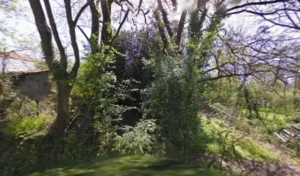 Histoire Déco – Enduiseur à Dompierre-sur-Yon