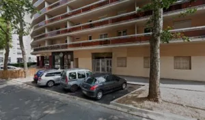 Martins F.a.e (Sarl) à Lyon
